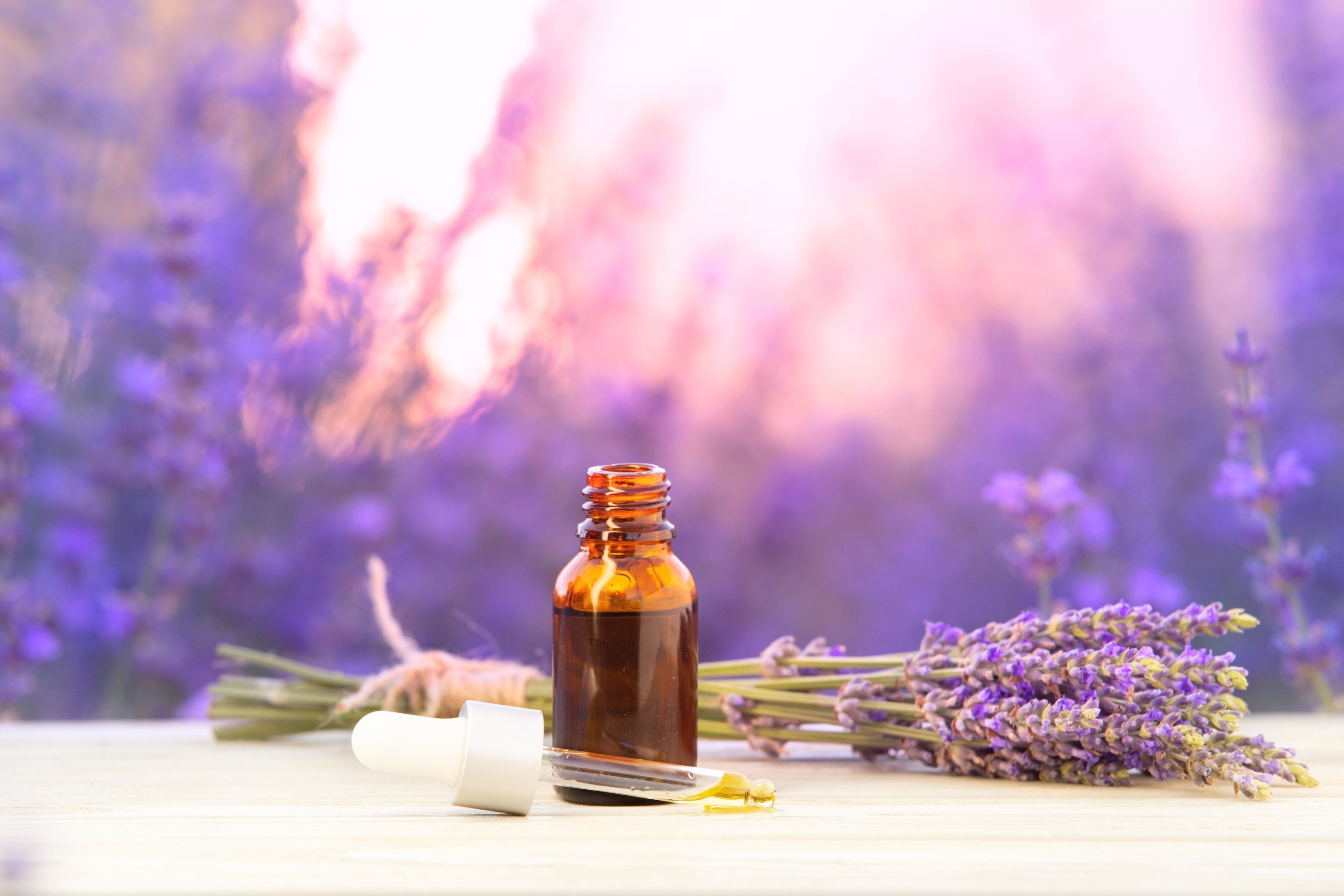  Lavender essential oils for addiction recovery include many psychological advantages, Avenues Recovery explains.