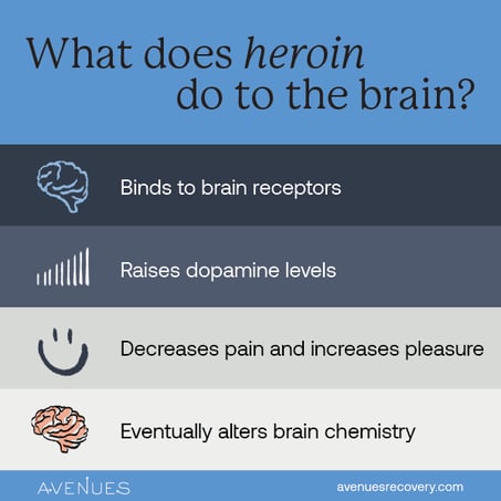 what does heroin do to your brain?