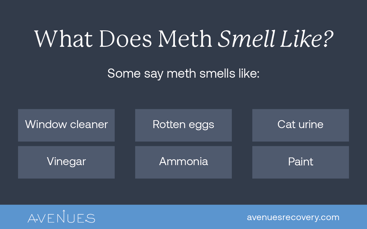 Meth Smell Infographic-01